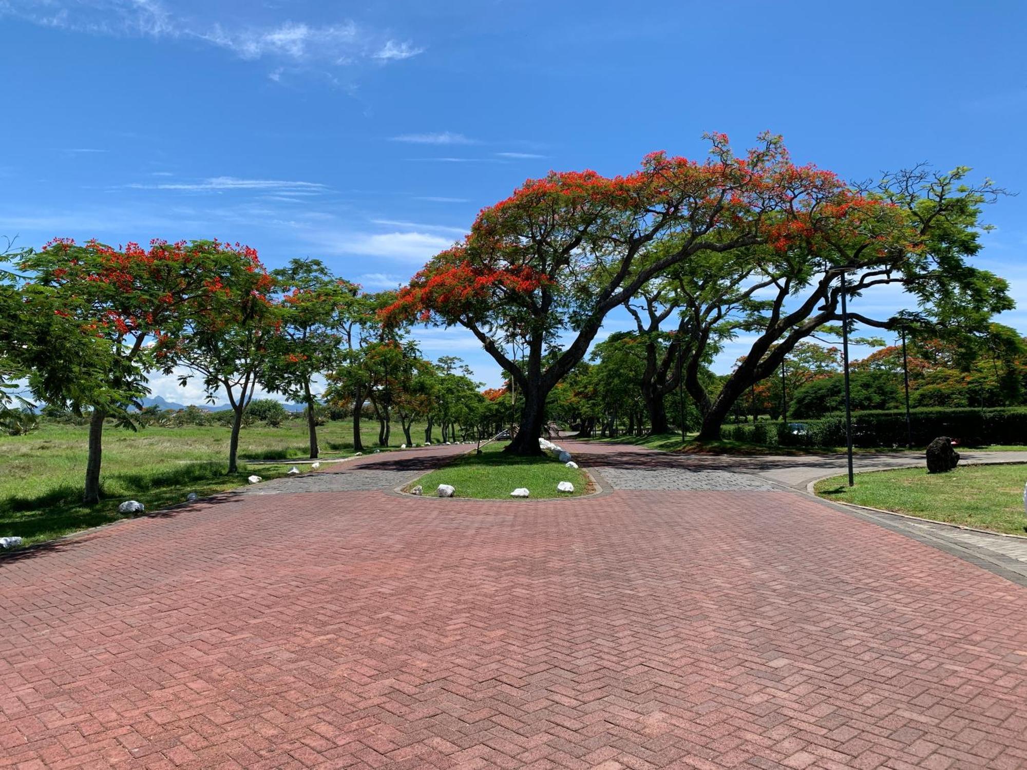 Palm Creek Villa Mont-Choisy Bagian luar foto